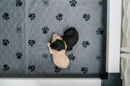 EZwhelp Reusable Quick Dry Pads - Heavy Absorbency