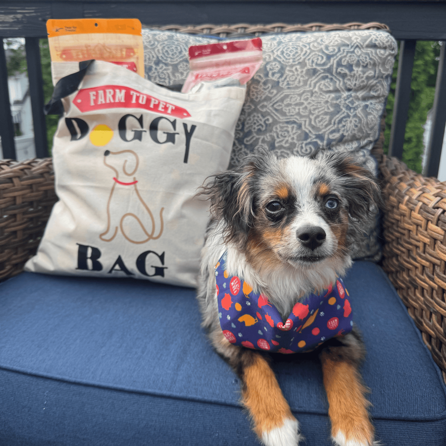 Farm To Pet Tote Bag | Paw-some Gift for Animal Lovers