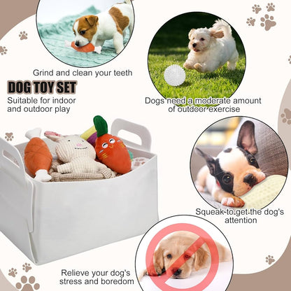 Puppy Supplies Starter Kit