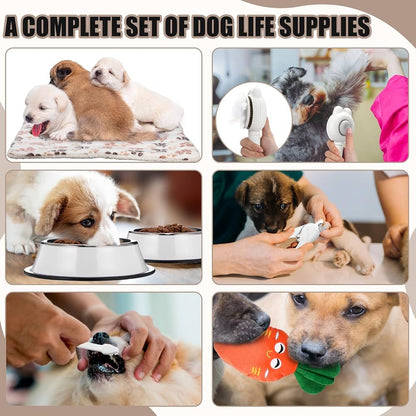 Puppy Supplies Starter Kit