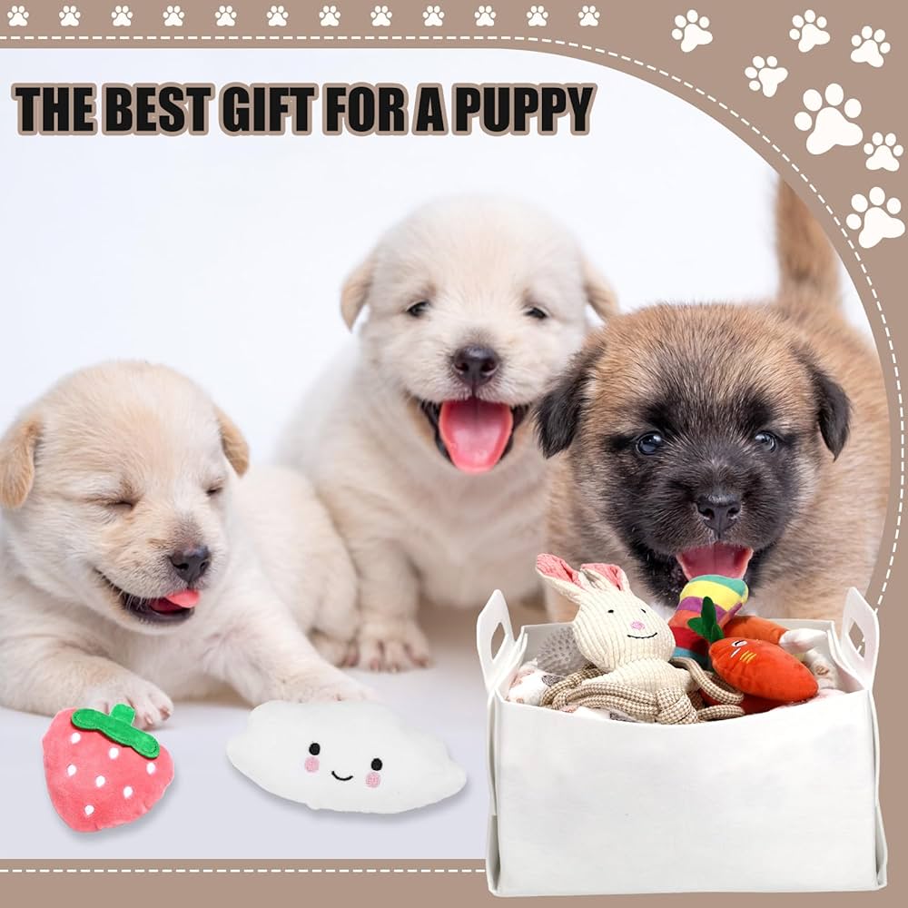 Puppy Supplies Starter Kit