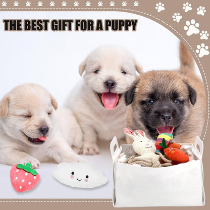 Puppy Supplies Starter Kit